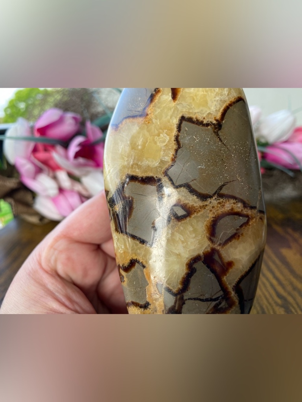 Septarian Freeform - Picture 7 of 12